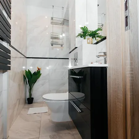 شقة Maya's Flats & 70 - Garncarska Street غدانسك